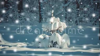 冬天的田野里有<strong>一棵</strong>漂亮的小圣诞树和<strong>一棵</strong>下着雪的树